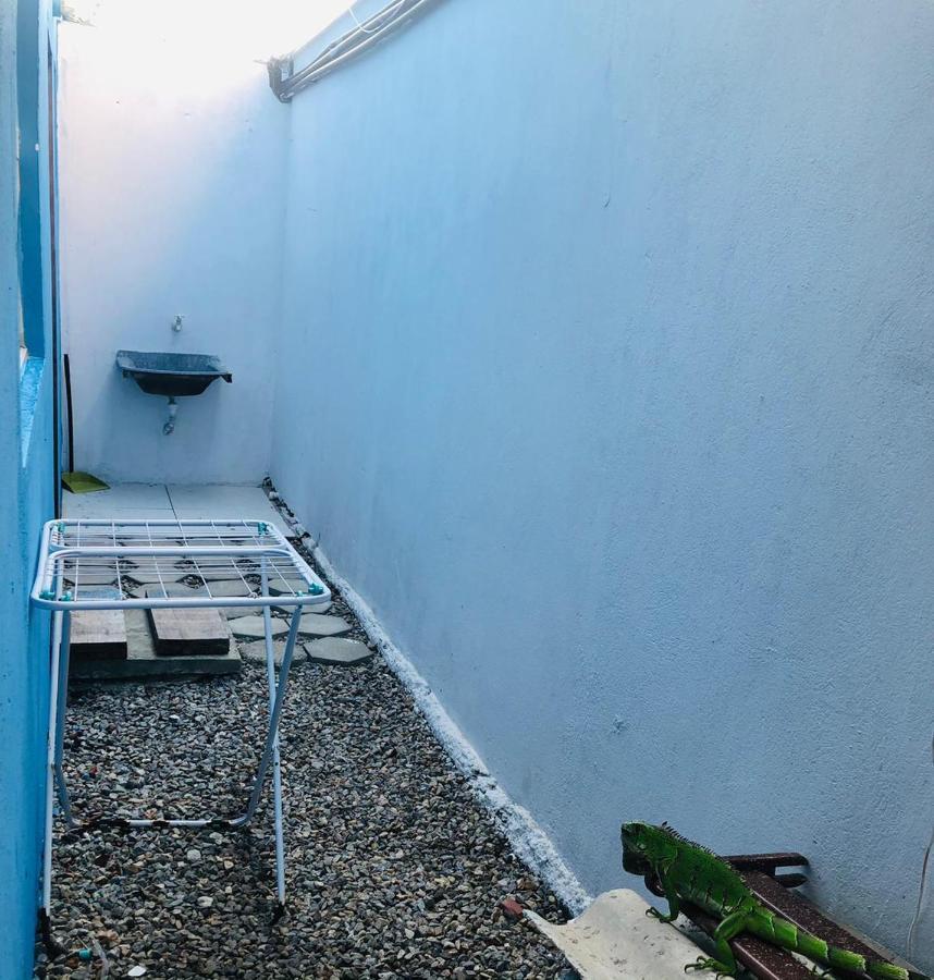 Apartamento Blue Horse Pipa Daire Praia de Pipa Dış mekan fotoğraf